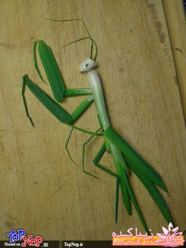 تزیین خوراکیها